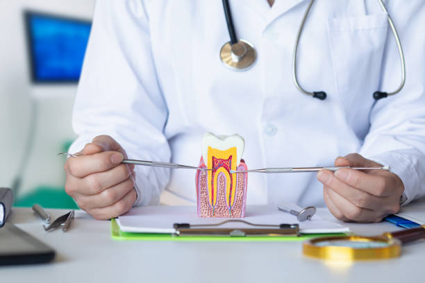 Best Emergency Root Canal Treatment in Halawa, HI